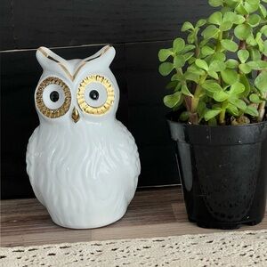 Owl Piggy Bank